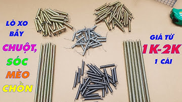 Đủ loại lò xo bẫy chuột, sóc. Có ship toàn quốc cho anh em sử dụng