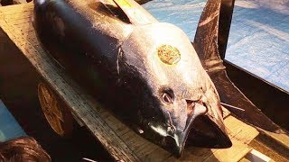 豊洲でマグロ初競り　史上最高の3億3360万円