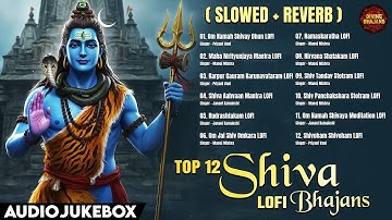 🔱 Top 12 Shiva Lofi Bhajans –Nonstop Slowed Reverb Bhakti Songs 🎧 Om Namah Shivay Dhun