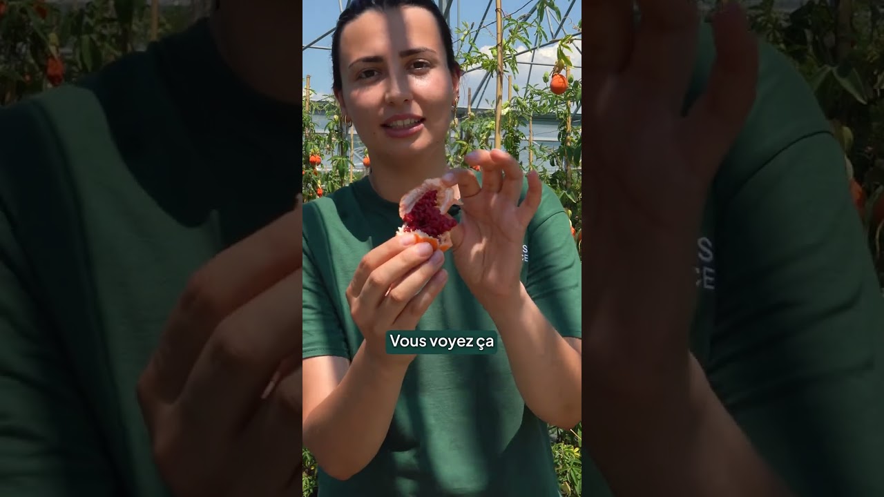 ❤️‍🔥 Faire pousser ses Fruits de la Passion