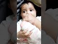 baby 🥰❤️#babysmile #petshub #cute
