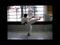 本物の前蹴りを極めよう mae geri 【空手】【光明】