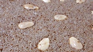 بسبوسة مكرملة من