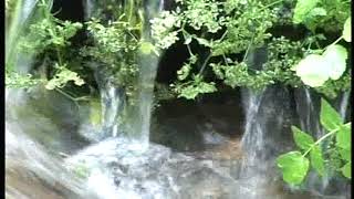 11. Tm Izvor Zvonacka Banja 1