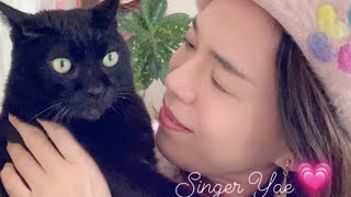 【腎不全末期の猫を介護する皆さんへ】自分を責めないで下さい。まずは私達が元気でいること。ペットは皆、飼い主の幸せを願っている #自宅点滴