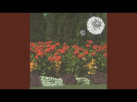 Imaginary Softwoods — Poisitive Ruin Court Garden
