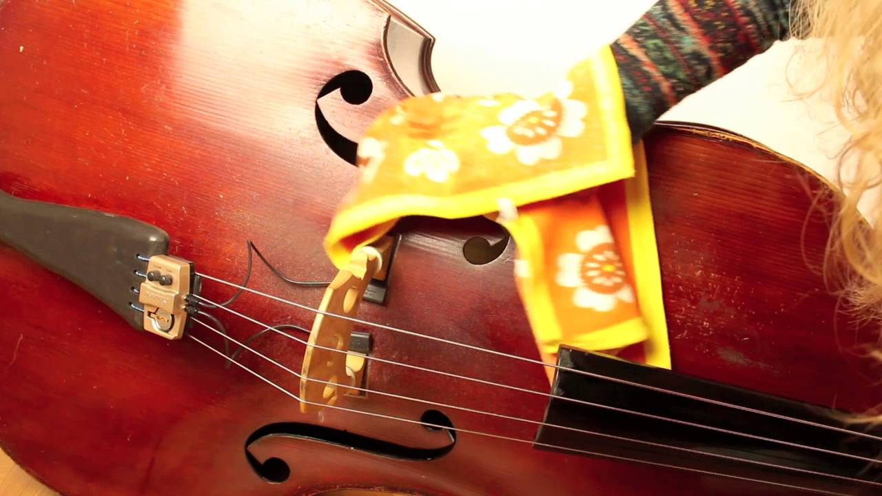 Unterschied Geige Bratsche Cello Kontrabass