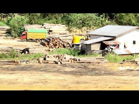 Dengar pendapat DPRD kabupaten Berau dan CIFOR tentang raperda pemanfaatan kayu lokal