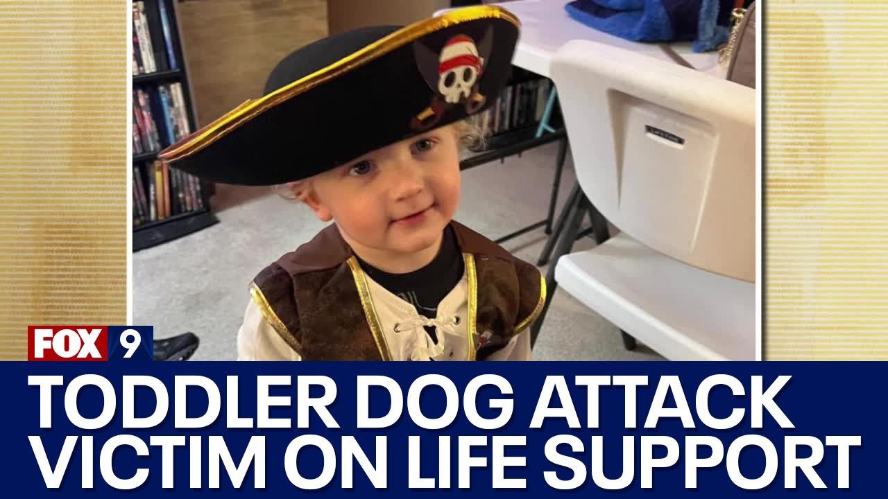 Family says boy won’t survive Brooklyn Park dog attack