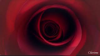 🙏🎧Multi Sensory Visualization I Manifest your Future I How to finally make your dream life come true