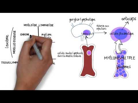 Vidéo: Différence Entre La Leucémie Et Le Myélome Multiple