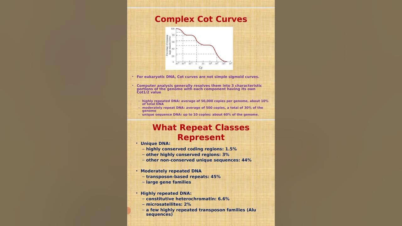 Cot Curve of DNA YouTube