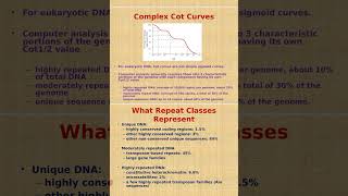 Cot Curve of DNA