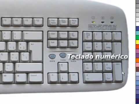 Computacion Basica De Cero Video
