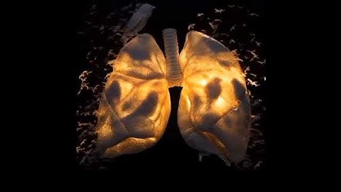 سالم الرويلي تلاوة خاشعة لا توصف 💗 حالات واتس اب قرآن 🥀