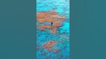 It is clear to me now.. #FlexGlue #Clear #FlexSeal #FlexOn