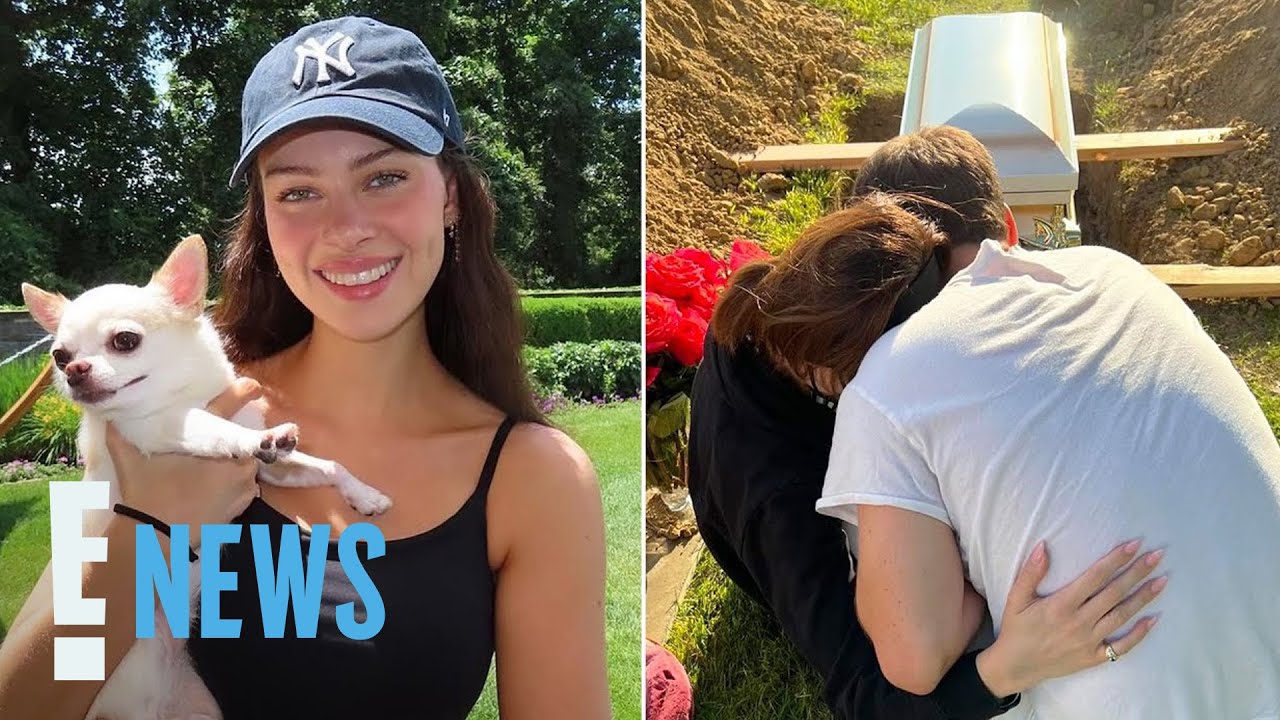 Nicola Peltz Beckham SUES Groomer Over Her Dog's Death E! News YouTube