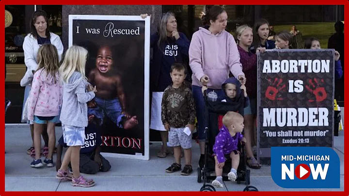 Abortion rights initiative rejected by Michigan election board