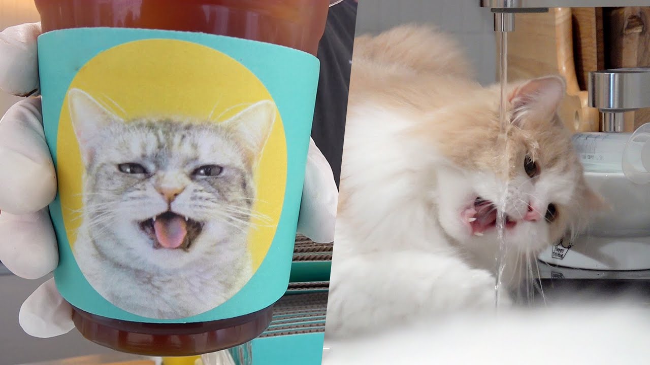 티티 카페 오픈🥤 디디가 정수기 사용법을 익혔다고!?