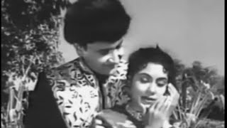Tumhari Sang Mai Bhi Chalungi,Sohni Mahiwal(1958), Lata Mangeshkar,Bharat Bhushan,Nimmi,Hires Audio