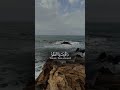 تحية مسائية أنت تمتلك الظهور أما نحن فنمتلك الحضور فإن دعمتنا فأنت مشكور وإن تجاهلتنا فأنت معذور تحية مسائية أنت تمتلك الظهور أما نحن فنمتلك الحضور فإن دعمتنا فأنت مشكور وإن تجاهلتنا فأنت معذور