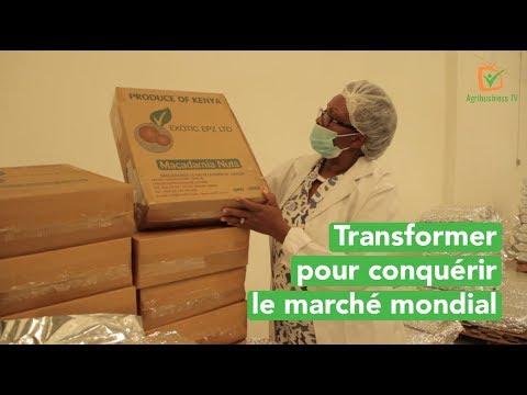 kenya-:-transformer-pour-conquérir-le-marché-mondial