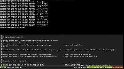 OpenSSL Demo DigSig