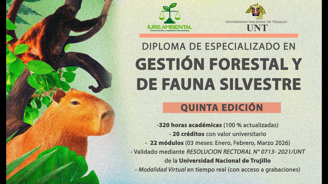 diplo for 10 ene video1591448566