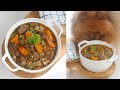 How to Make Steak & Sweet Potato Stew FOR DOGS! | Homemade Dog Food Recipe | RECIPE