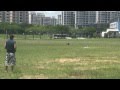 Hobbysquare sg  kds innova 450bd fbl flown by customer irwan