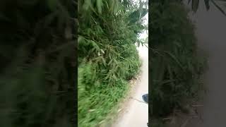 melintasi kampung di atas puncak gunung Wonogiri #healing #family #mototurismo #touring