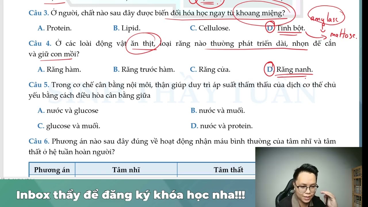 GIẢI ĐỀ ÔN TẬP CUỐI HỌC KÌ I 2K9
