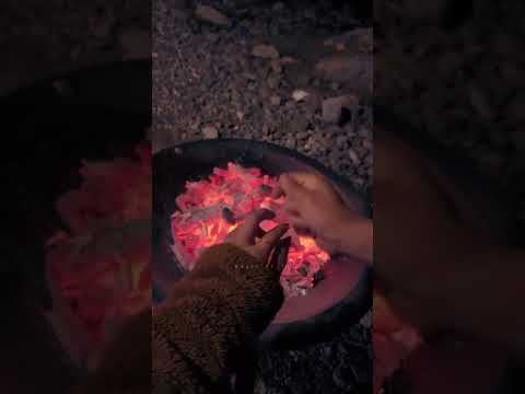 شو ما صار اوعى تغيب