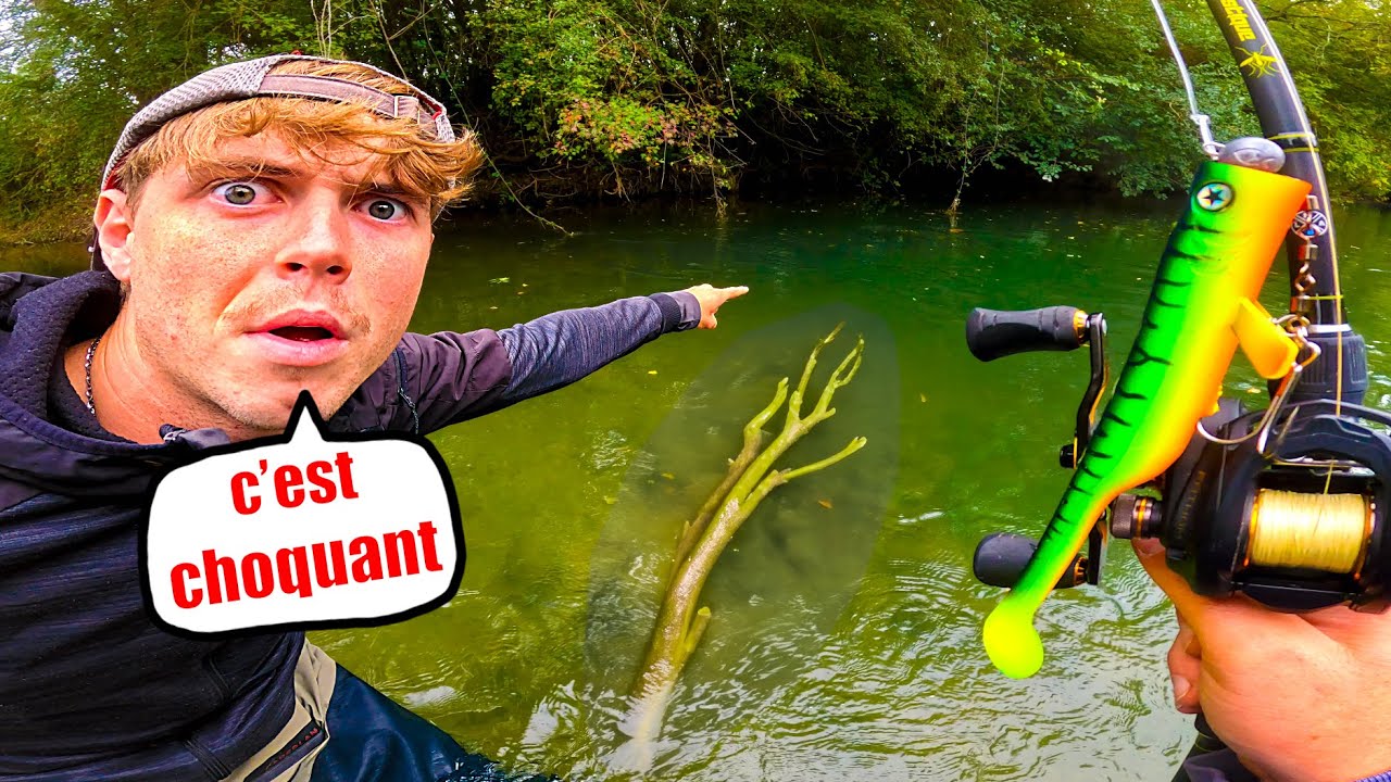 Poissons monstres inattendus dans cette petite rivière !! ( c'est choquant )