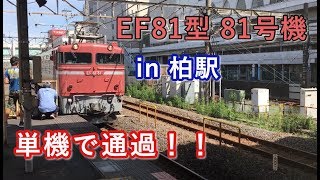 JR貨物 EF81型 81号機 単機で柏駅を通過する 2019/09/28