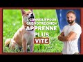 3 conseils de dressage canin pour que votre chien apprenne plus vite