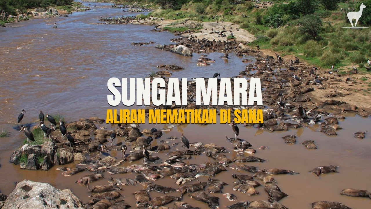 Sungai Mara: Aliran Air Ganas dan Mematikan di Tengah Sabana