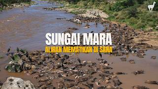 Sungai Mara: Aliran Air Ganas dan Mematikan di Tengah Sabana