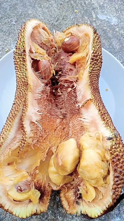 Buah Cempedak Bagus diluar tp busuk didalam. ceritanya Zonk.