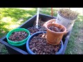 Separate Rocks From Soil - Easy DIY Sifter - Crafted Channel Separate Rocks From Soil - Easy DIY Sifter - Crafted Channel
