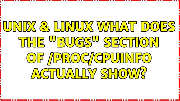 Unix & Linux: What does the "bugs" section of /proc/cpuinfo actually show? (2 Solutions!!)