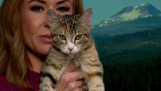 Furever Friends Ember