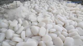 山の逸品 寒風仕込み　多可町の凍りこんにゃく　♪フォトノオト♪11