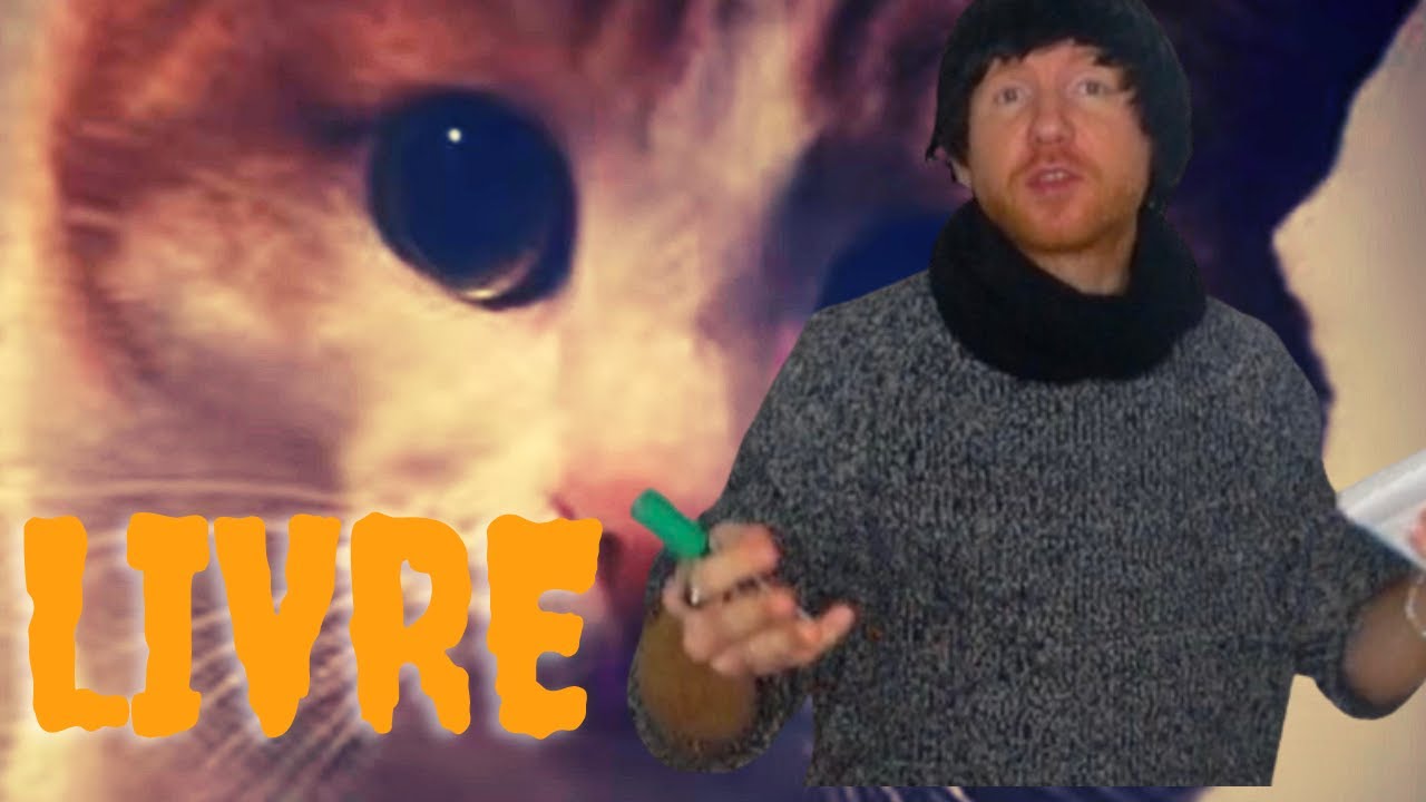 GINGERTIFY: Learning By Doing: French "LIVRE"