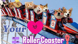 Roller Coaster Ride