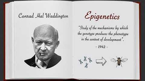 Video Abstract Epigenetics