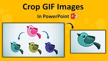 How to Crop GIF Images In PowerPoint