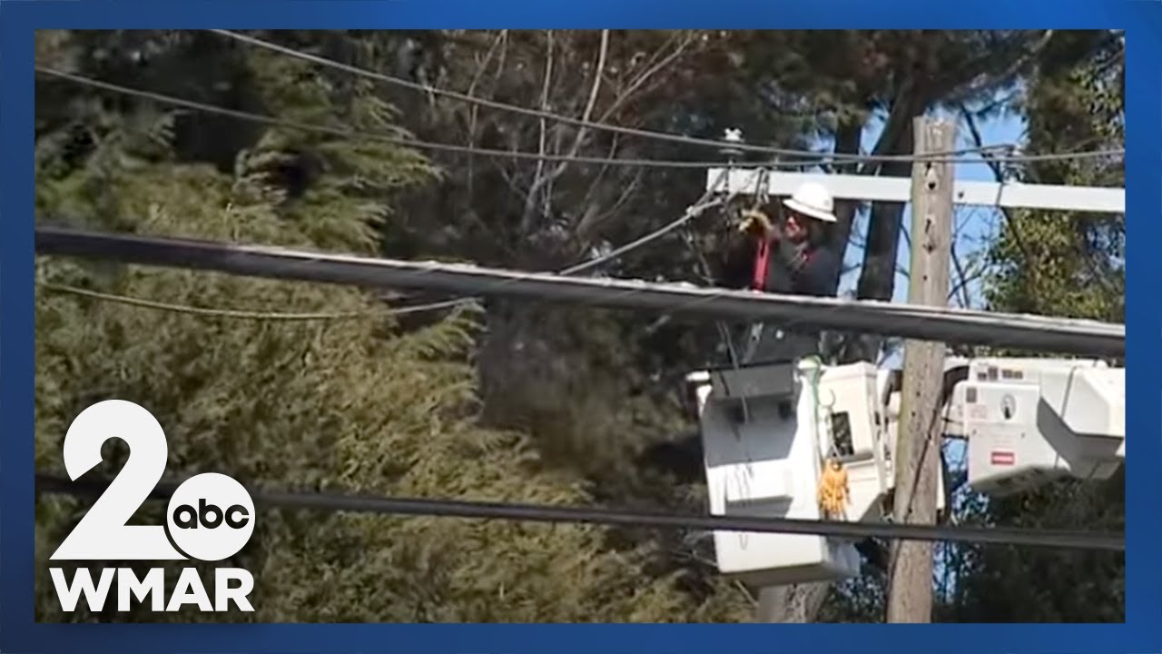 Thousands still without power in Maryland after windy night - YouTube