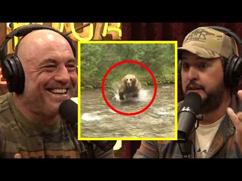 Bears Didn't Scare Me Until I Learned This.. | Joe Rogan