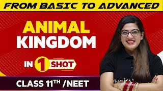 Animal Kingdom in One Shot - NEET /Class 11th Boards || Victory Batch